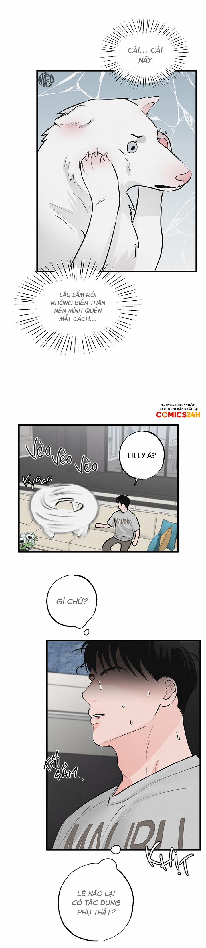 Mảnh Ghép Hoàn Hảo 8 trang 23