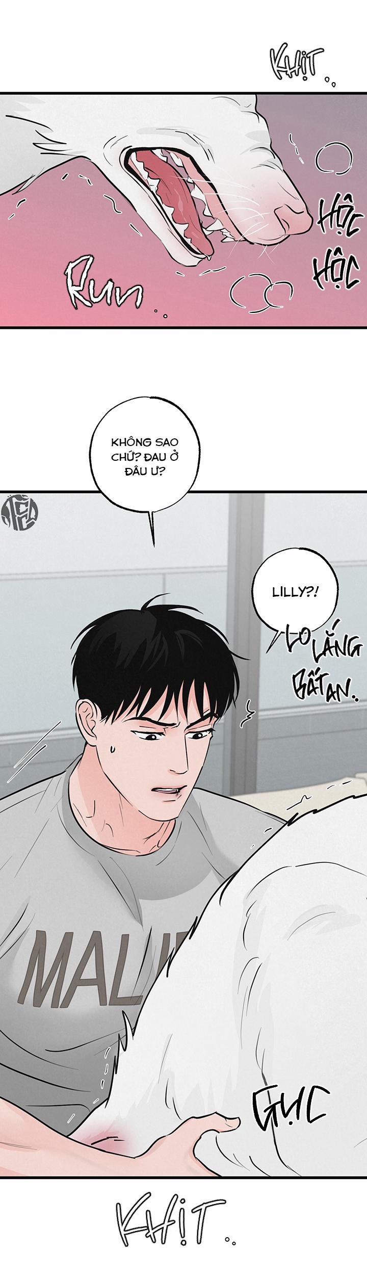 Mảnh Ghép Hoàn Hảo 8 trang 24