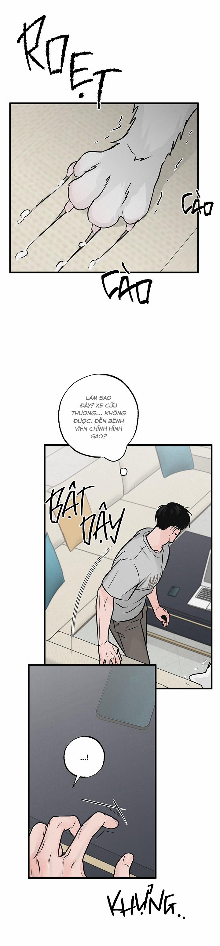 Mảnh Ghép Hoàn Hảo 8 trang 25