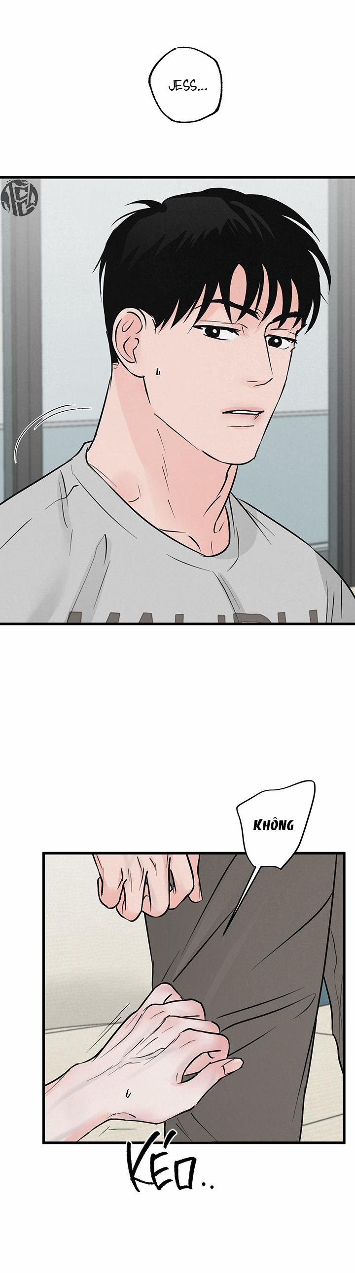 Mảnh Ghép Hoàn Hảo 8 trang 26