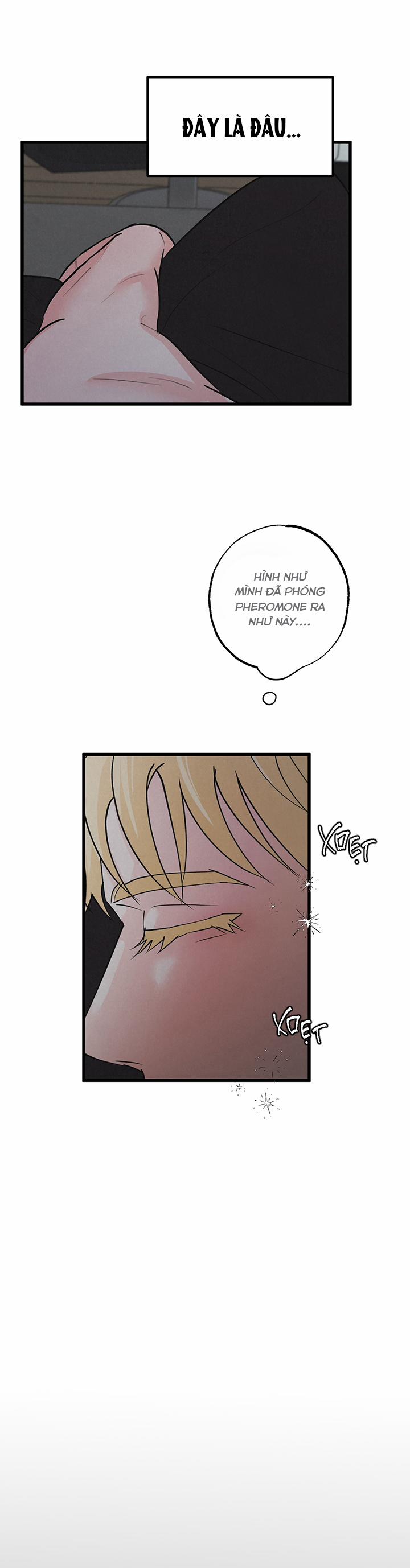 Mảnh Ghép Hoàn Hảo 8 trang 3