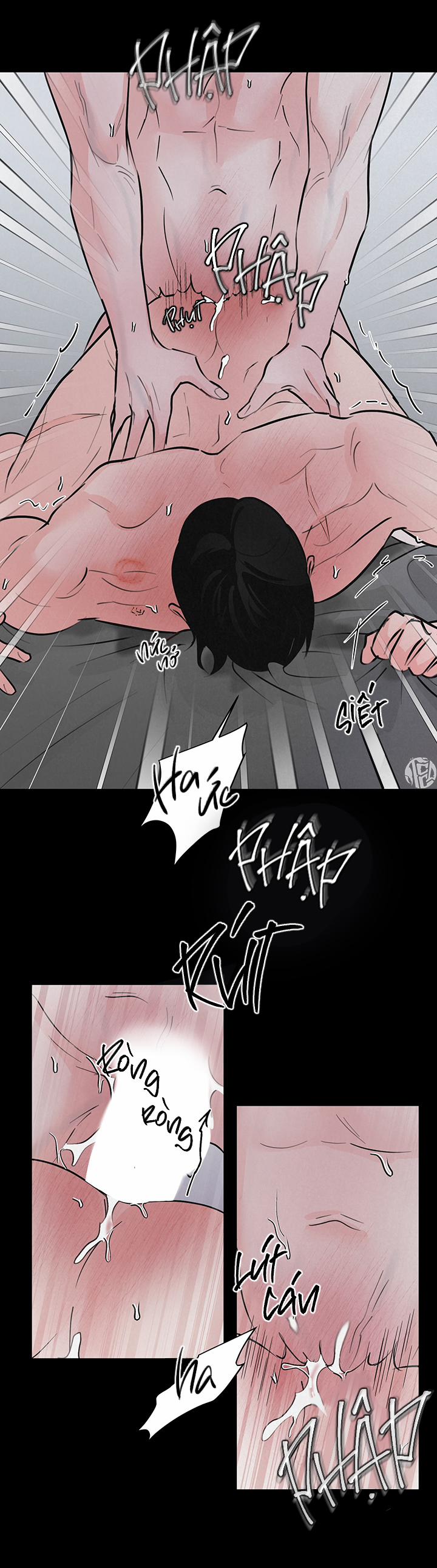 Mảnh Ghép Hoàn Hảo 8 trang 5