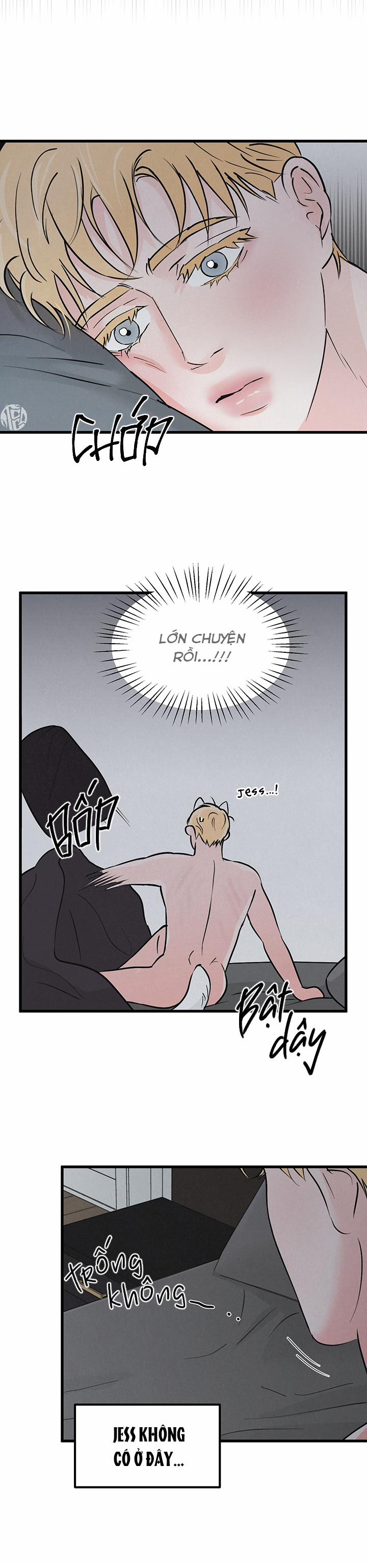 Mảnh Ghép Hoàn Hảo 8 trang 9