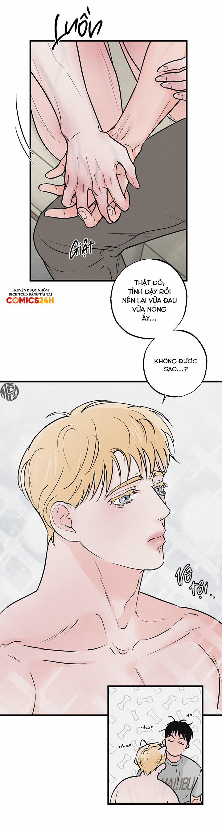 Mảnh Ghép Hoàn Hảo 9 trang 10