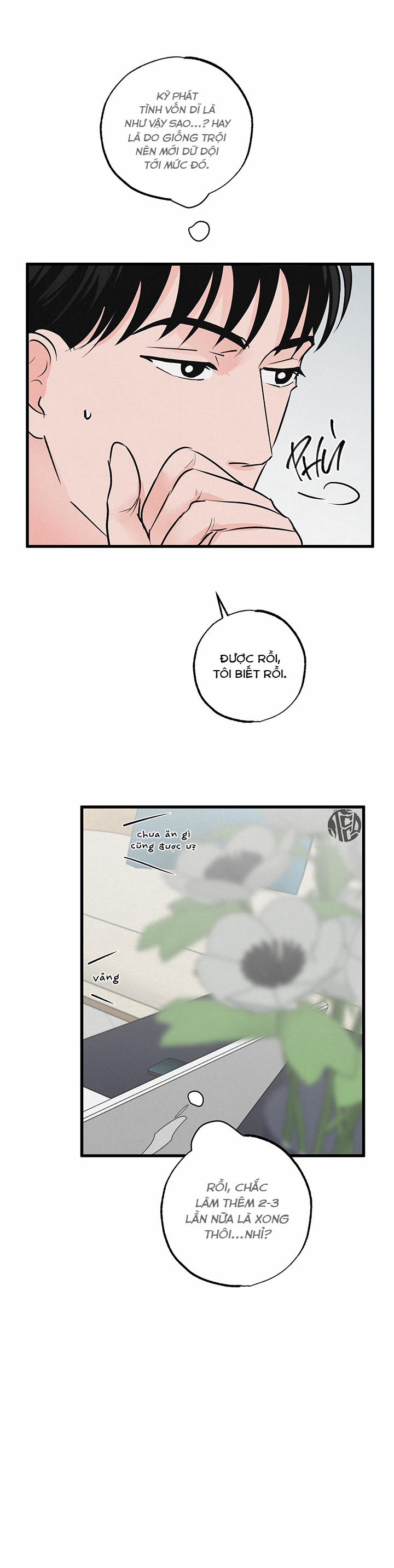 Mảnh Ghép Hoàn Hảo 9 trang 11