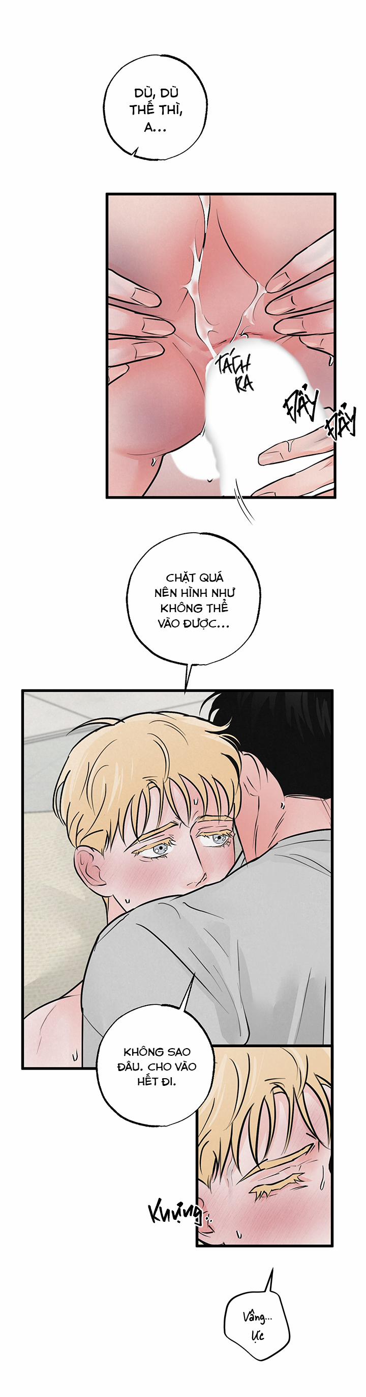 Mảnh Ghép Hoàn Hảo 9 trang 23