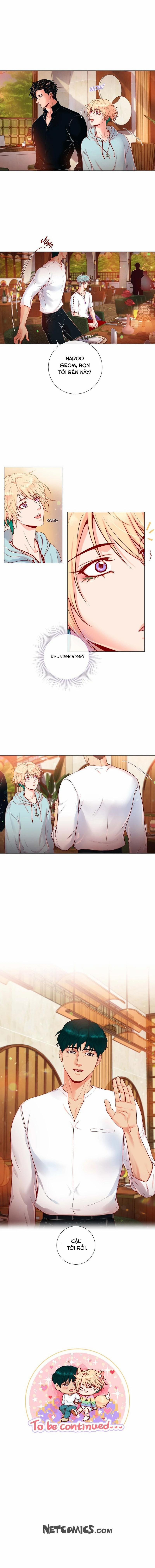 MÃNH HỔ VÂY QUANH 3 trang 10