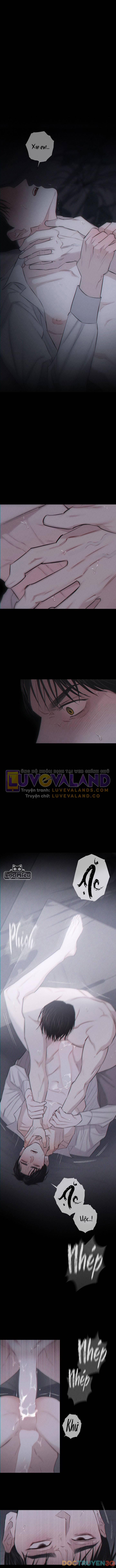 Mảnh Vỡ Tình Yêu 9.5 trang 0