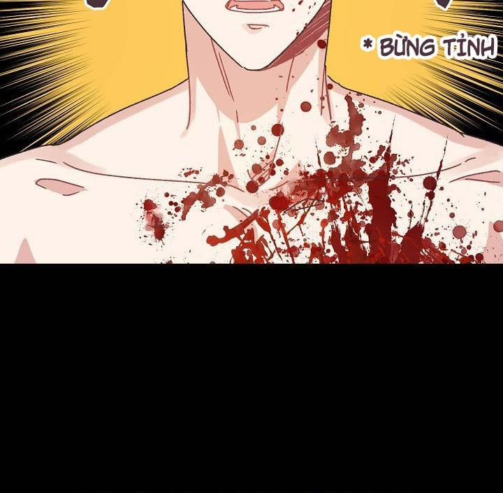Mảnh Vỡ Trái Tim 33 trang 65