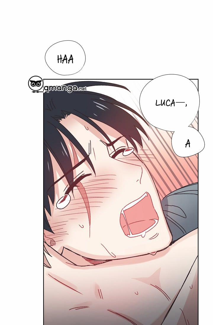 Mảnh Vỡ Trái Tim 6 trang 46