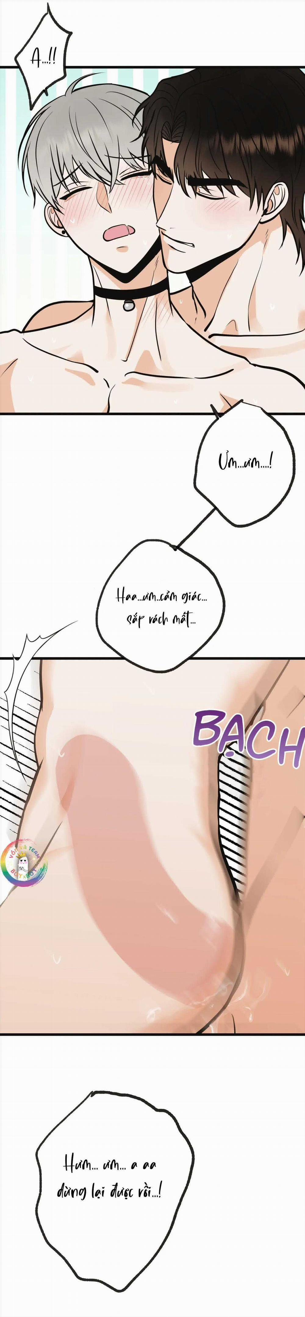 Manhwa Chịch Vồn Chịch Vã 114 trang 12