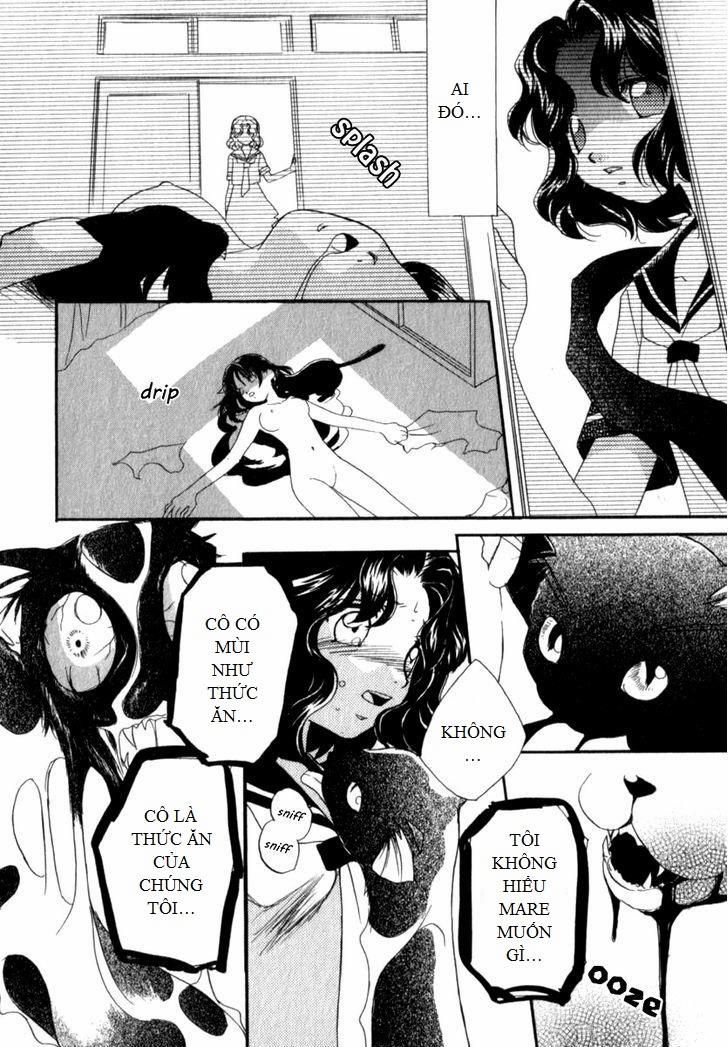 Mare 6 trang 15