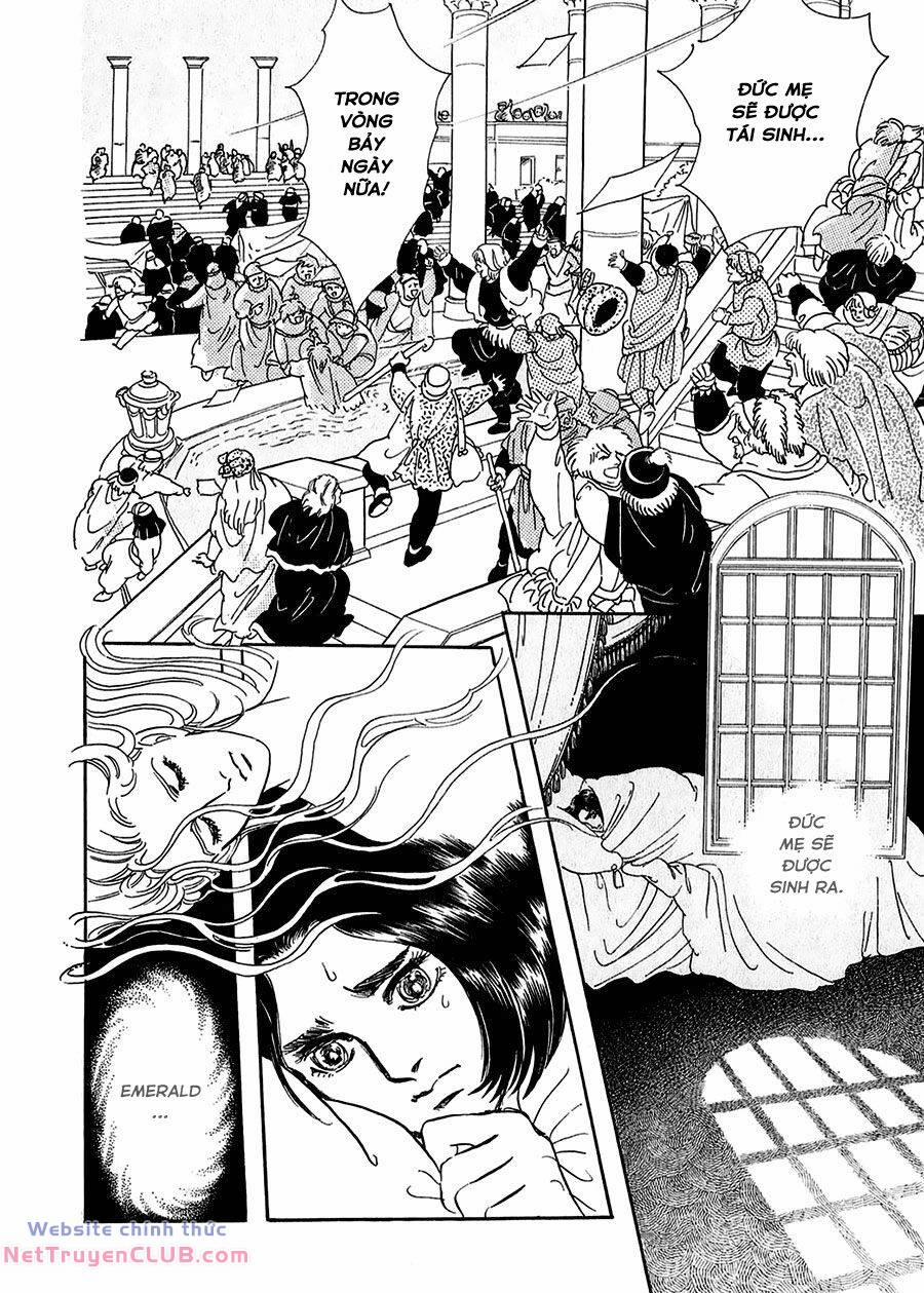 Marginal 14 trang 43