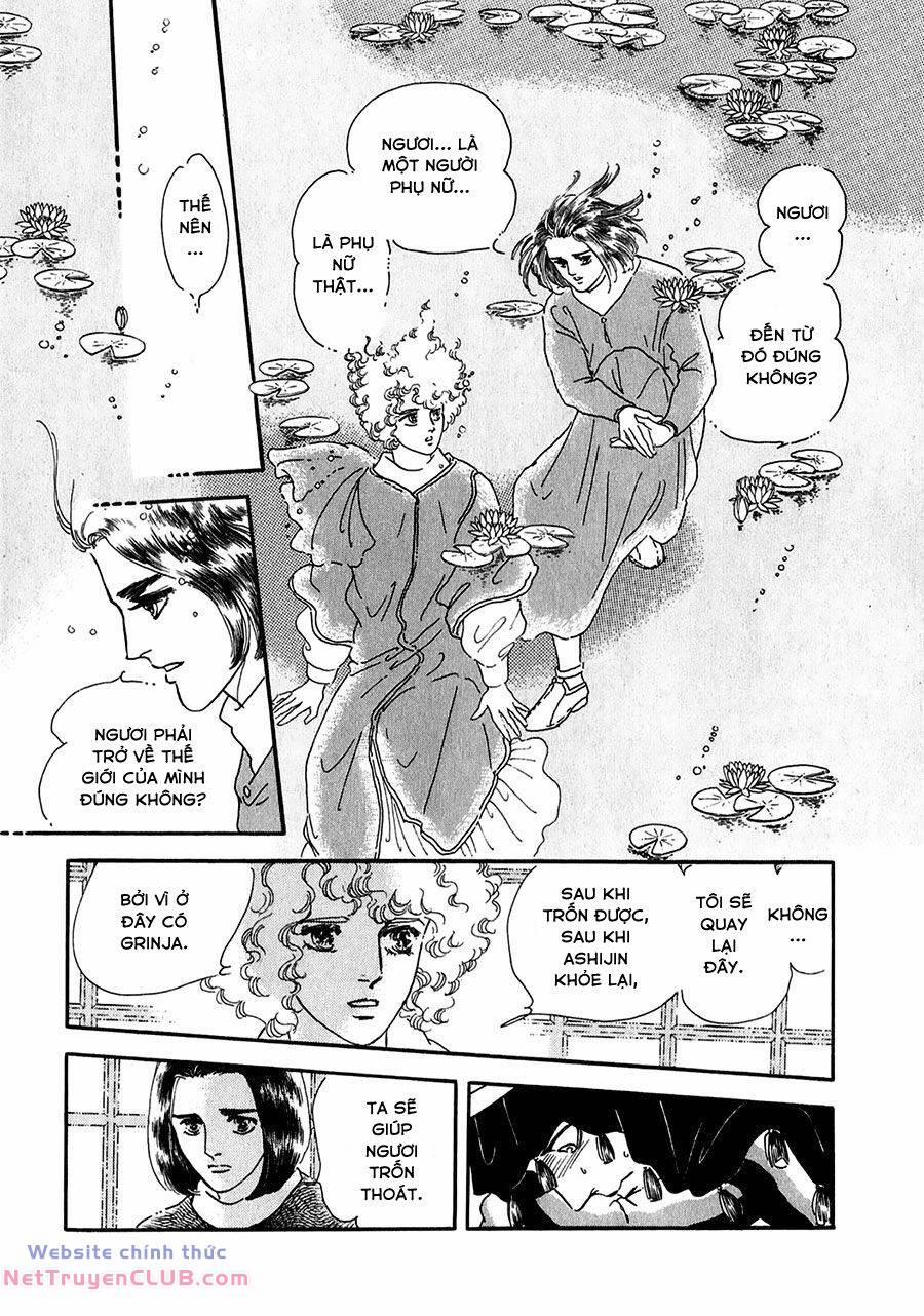 Marginal 20 trang 14