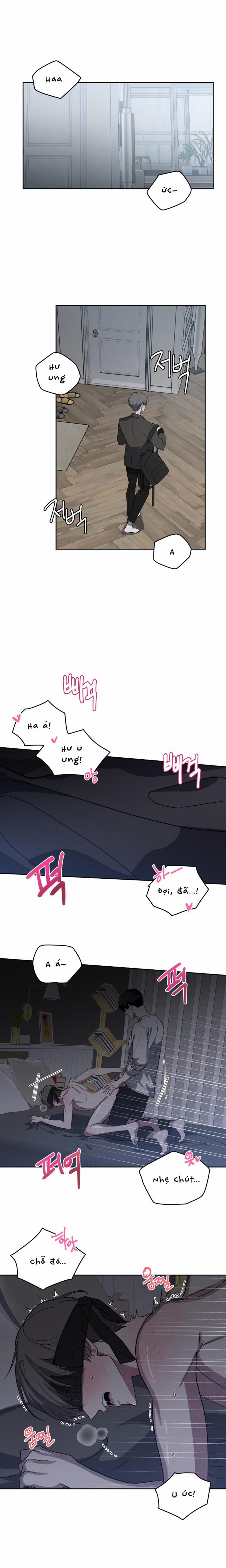 Marigold Dilemma 1 trang 1