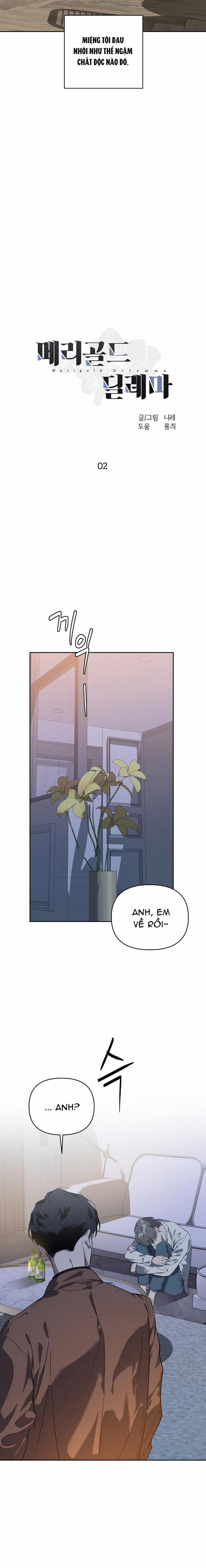 Marigold Dilemma 2 trang 9