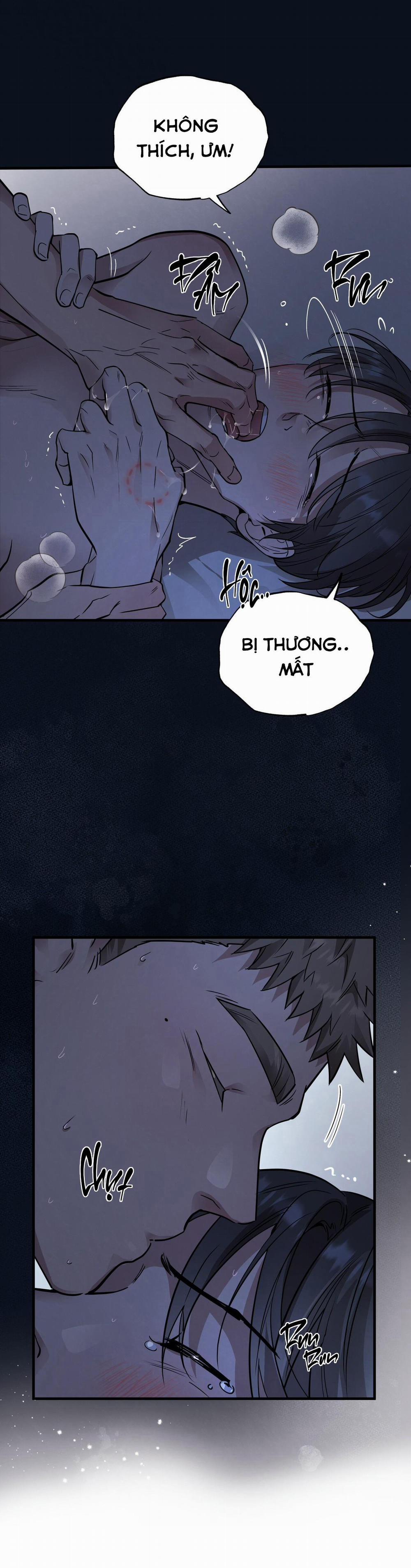 Mật Gấu 59 trang 11