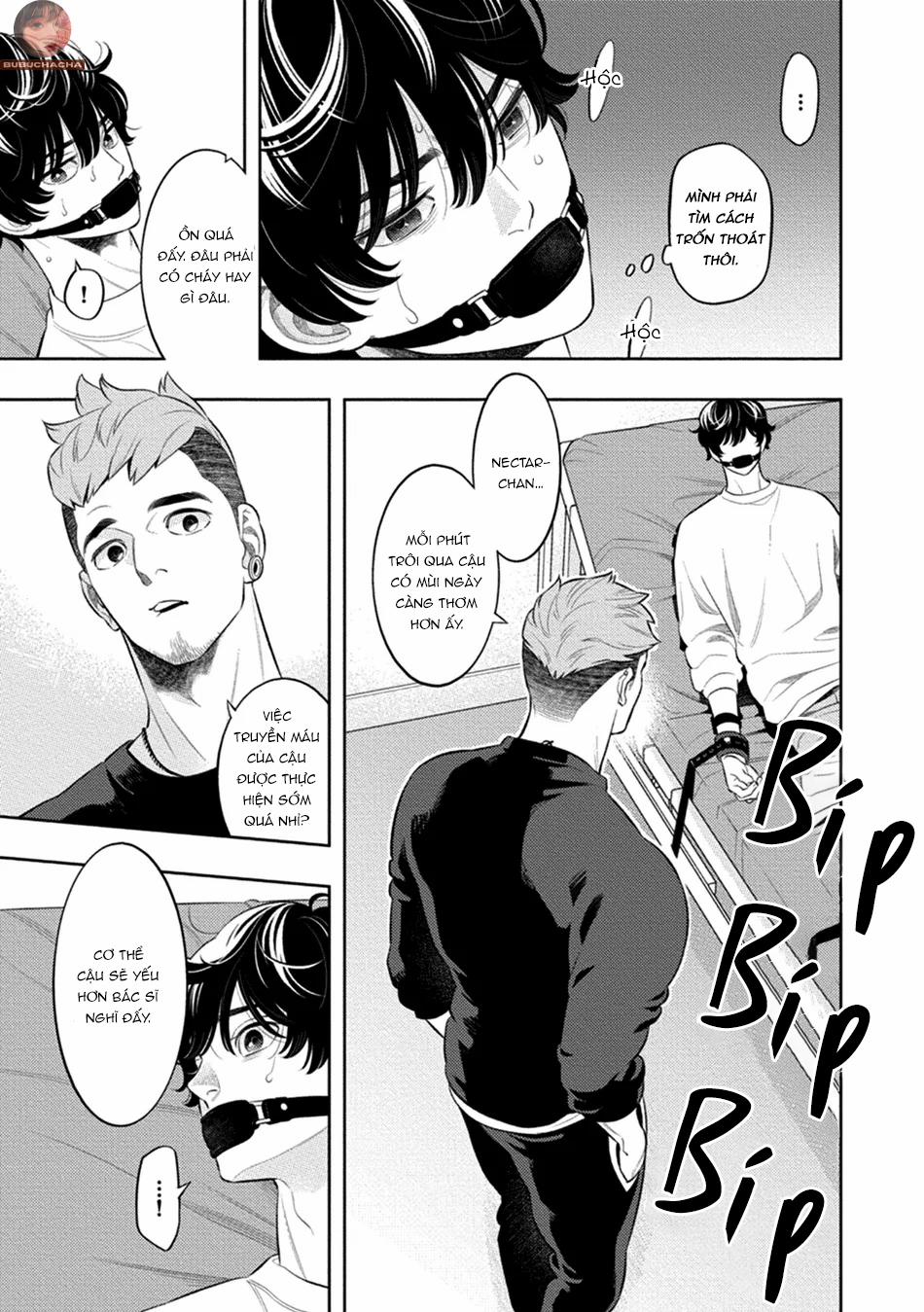 Mật Hoa Hương Khói 5 trang 13