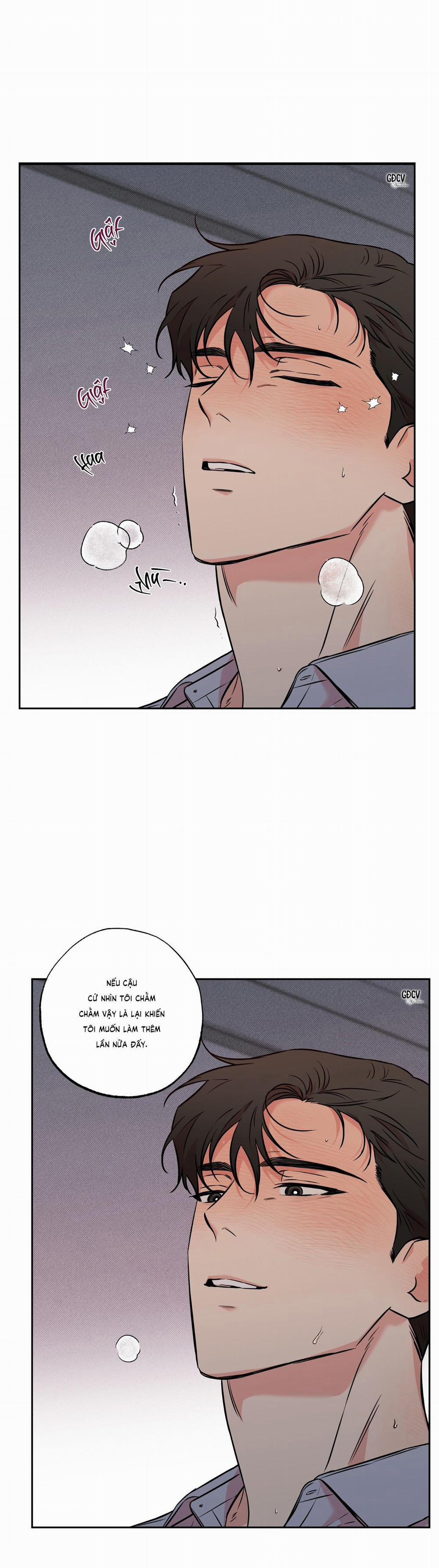 Mật Ngọt Chết Ruồi 6 trang 2