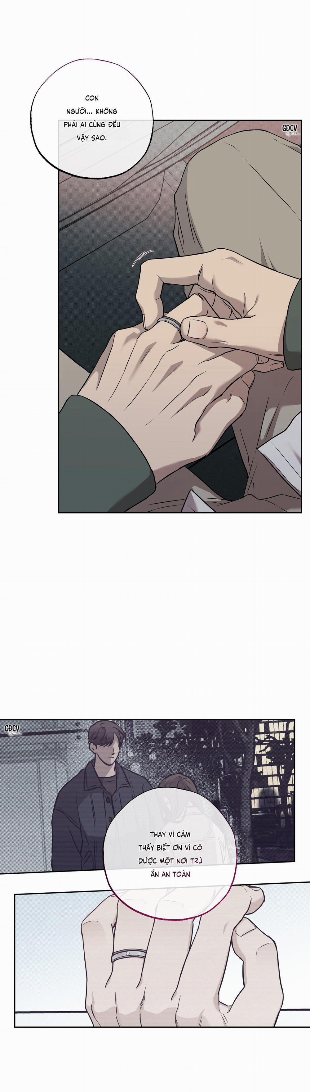 Mật Ngọt Chết Ruồi 7 0 trang 0