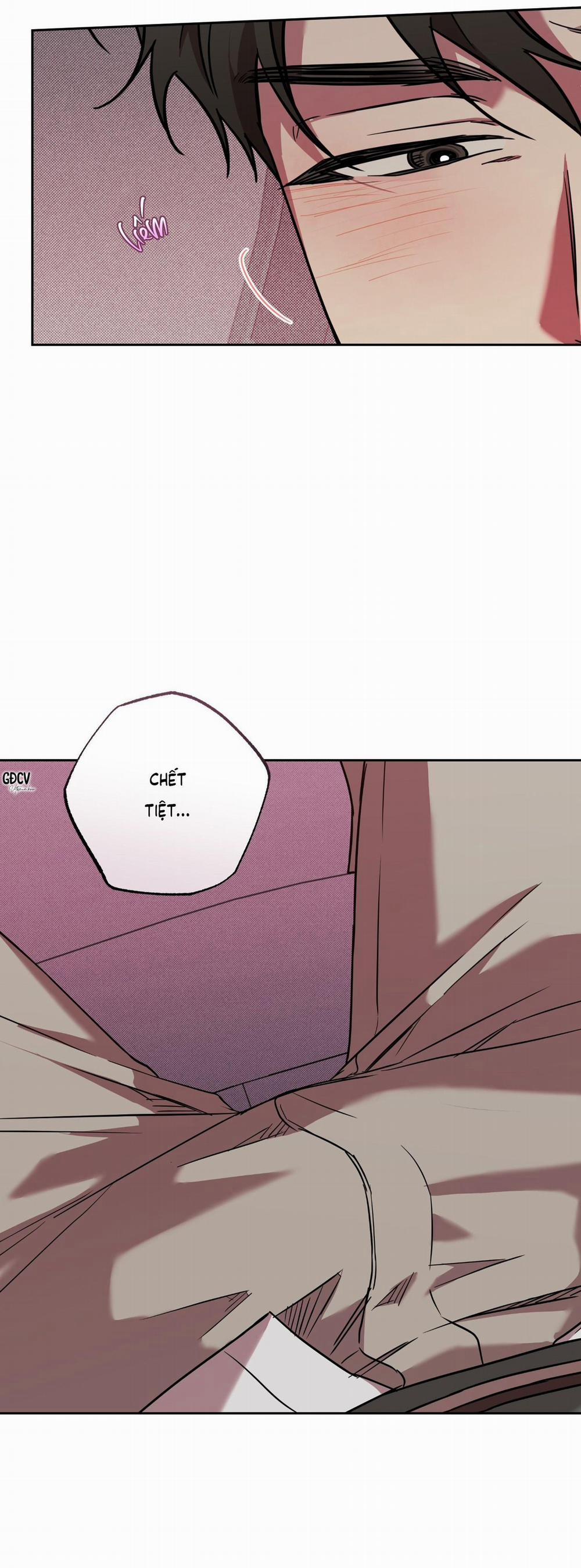 Mật Ngọt Chết Ruồi 7 trang 11