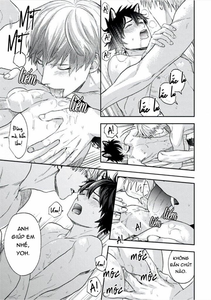 Mật Ngọt Dã Thú 4 trang 11
