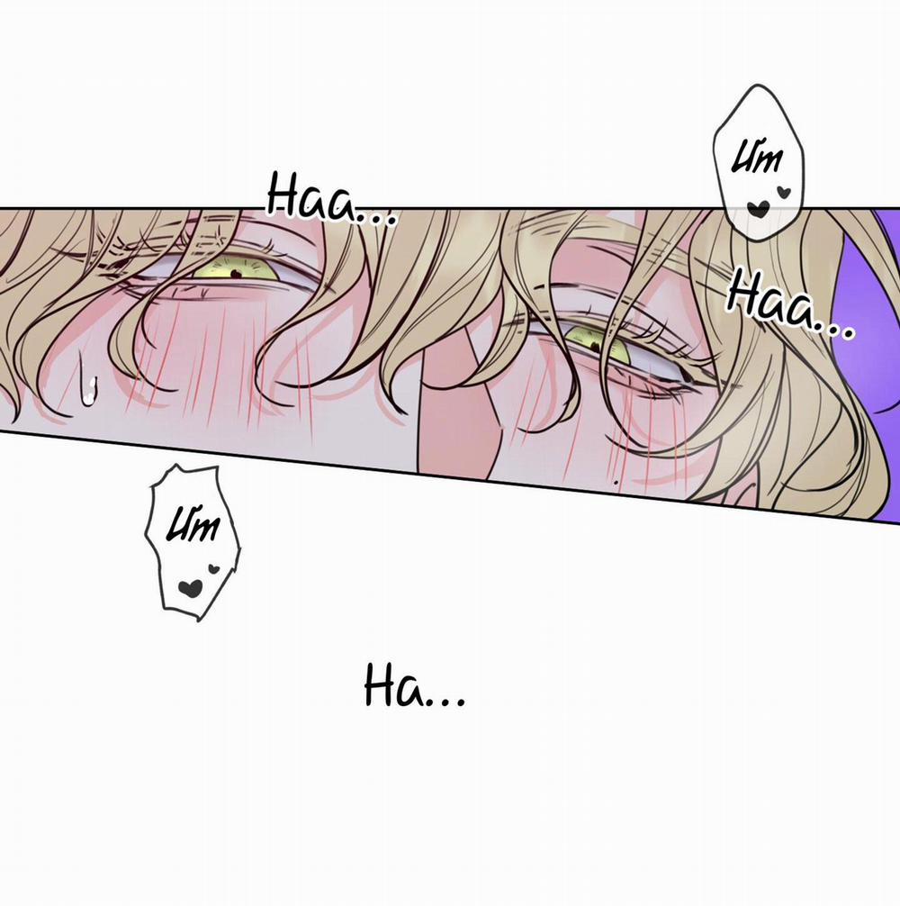 MẬT ONG NHÀ LÀM 1 trang 41