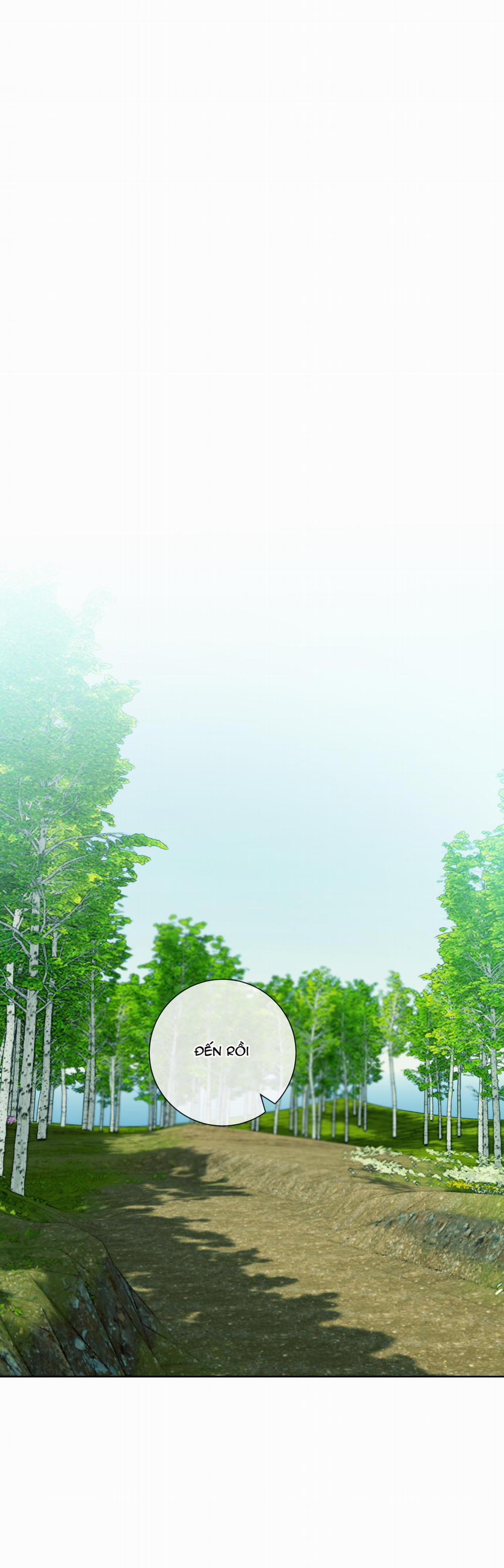 MẬT ONG NHÀ LÀM 13 trang 15