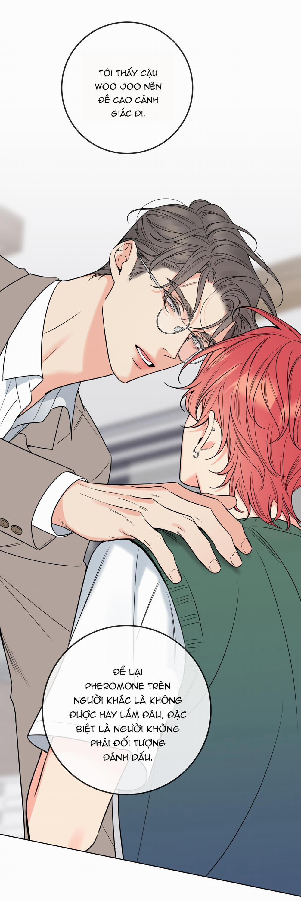 MẬT ONG NHÀ LÀM 17 trang 40