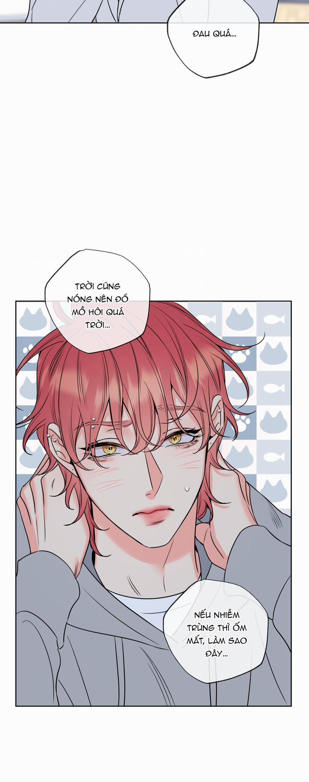 MẬT ONG NHÀ LÀM 18 trang 16