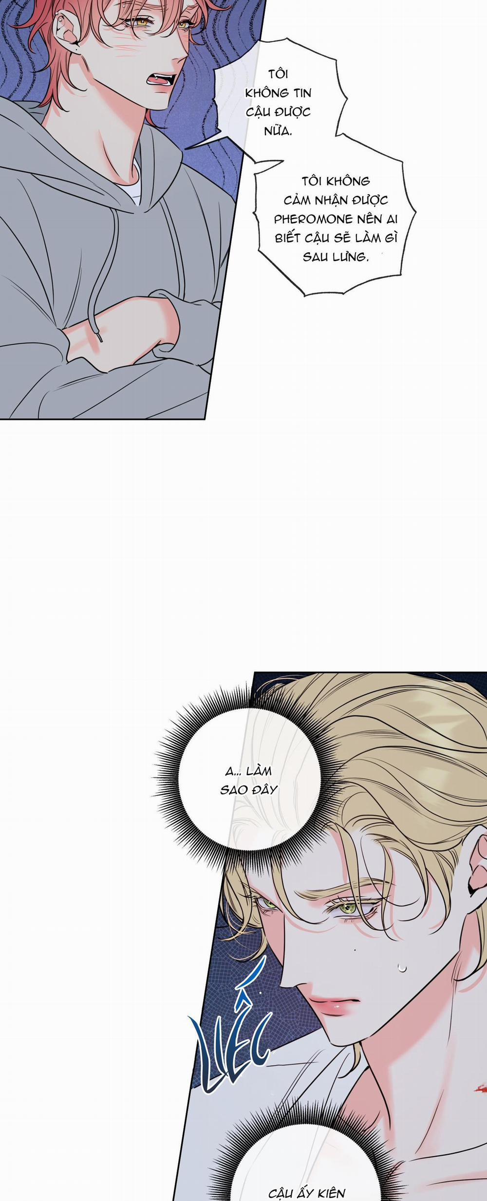 MẬT ONG NHÀ LÀM 18 trang 9