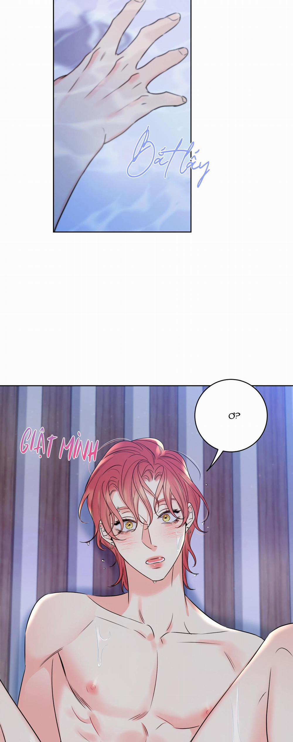 MẬT ONG NHÀ LÀM 20 trang 47