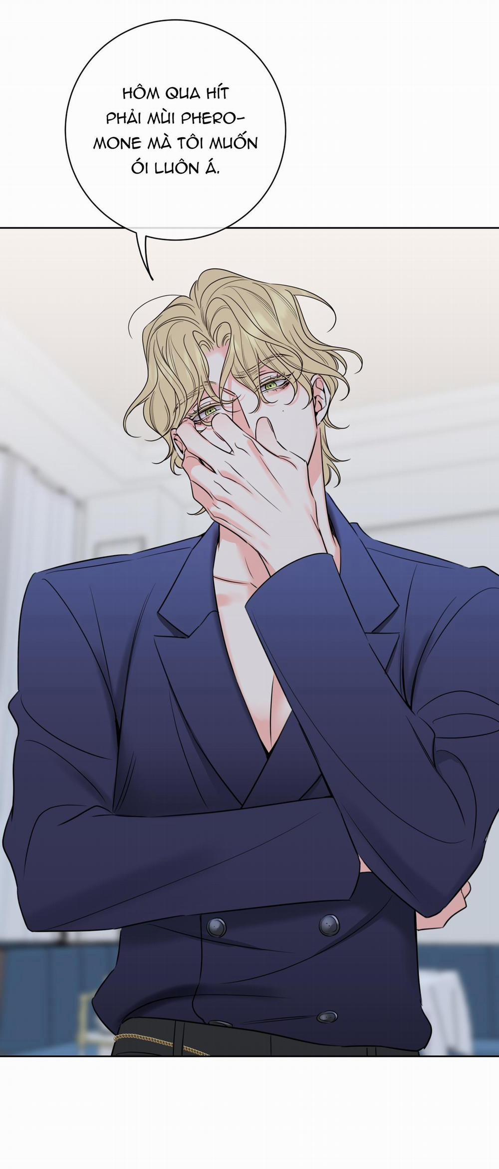 MẬT ONG NHÀ LÀM 26 trang 41