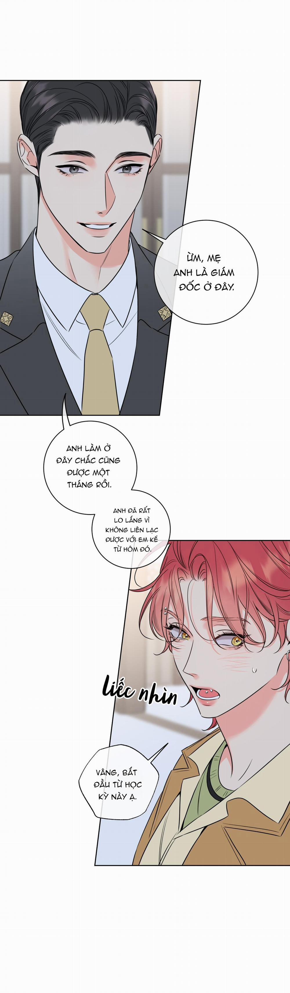 MẬT ONG NHÀ LÀM 27 trang 7