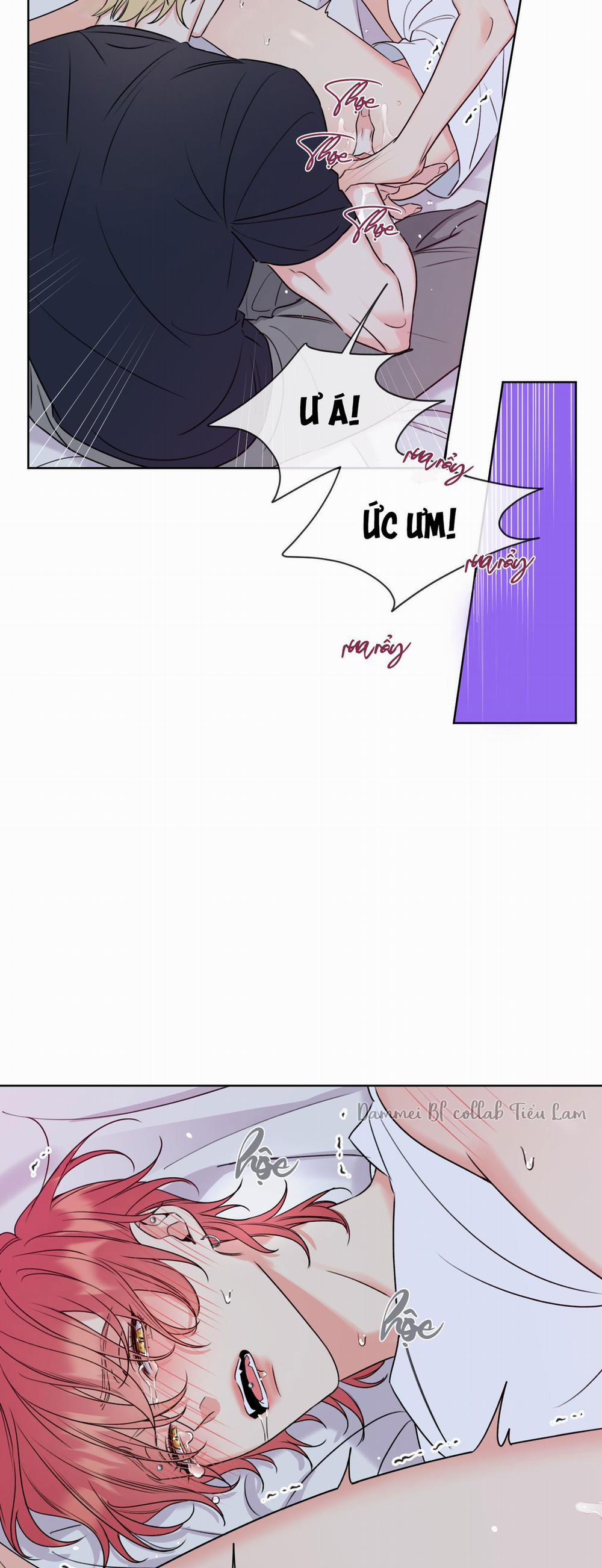 MẬT ONG NHÀ LÀM 5 trang 17