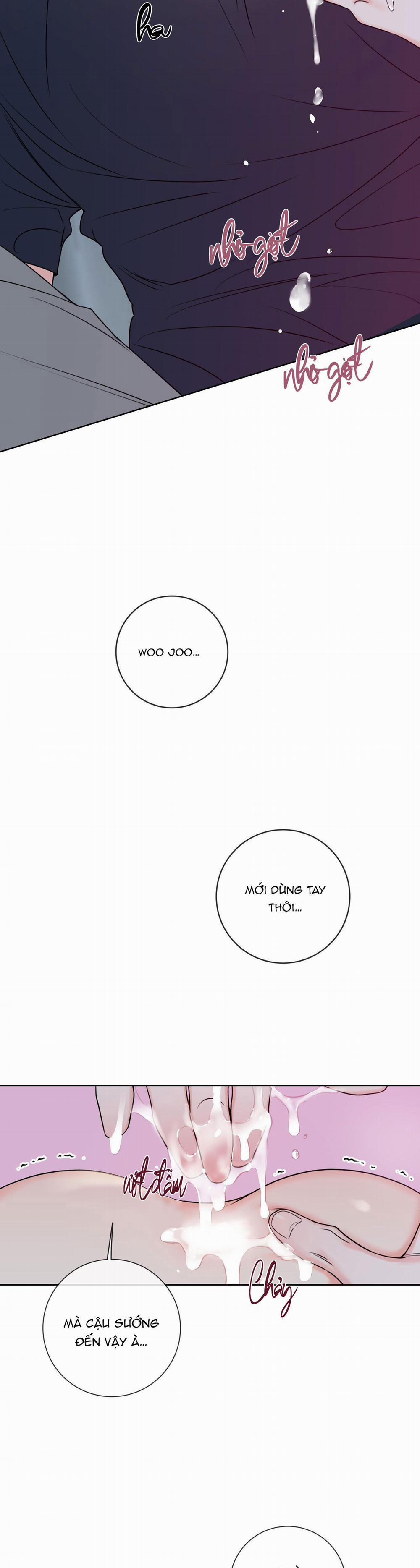 MẬT ONG NHÀ LÀM 5 trang 24