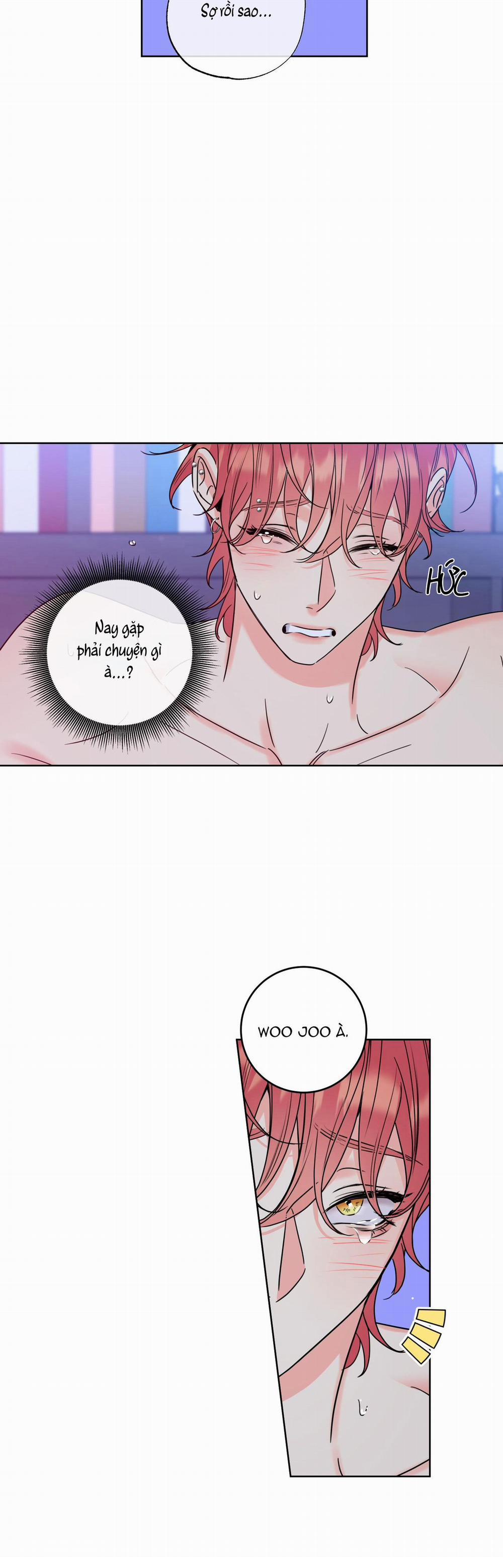 MẬT ONG NHÀ LÀM 9 trang 21