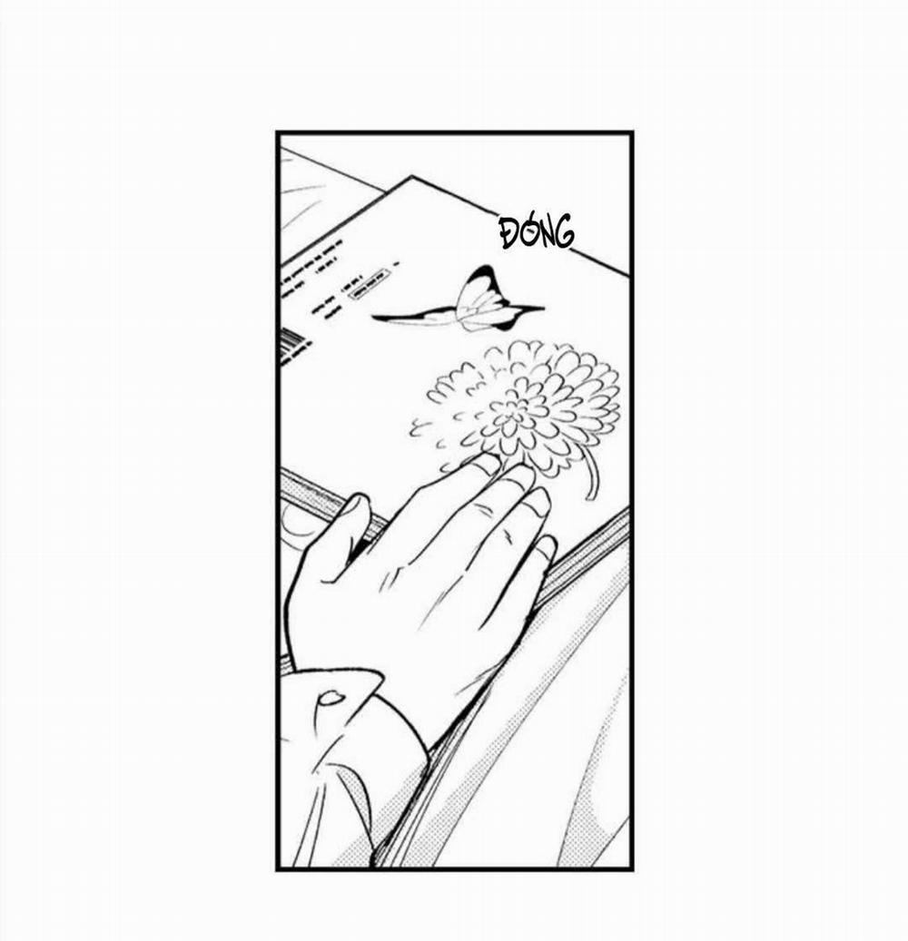 Mặt Sẹo Quyến Rũ 7 trang 26