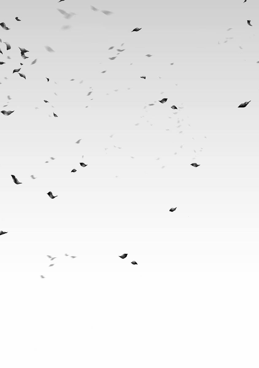 Mật Tình 1 trang 34