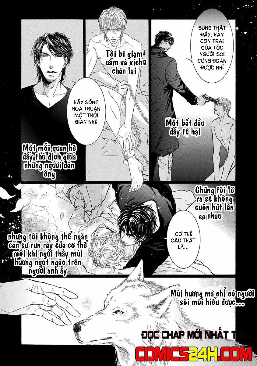 Mật Tình 2 trang 4