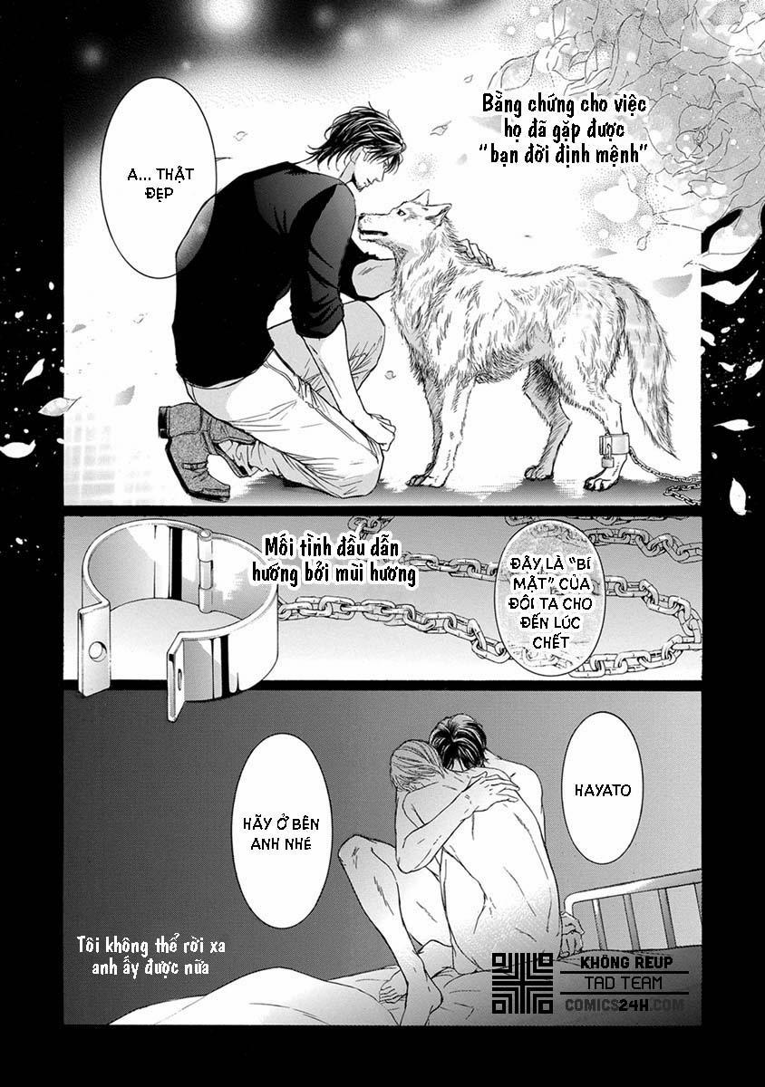 Mật Tình 2 trang 5