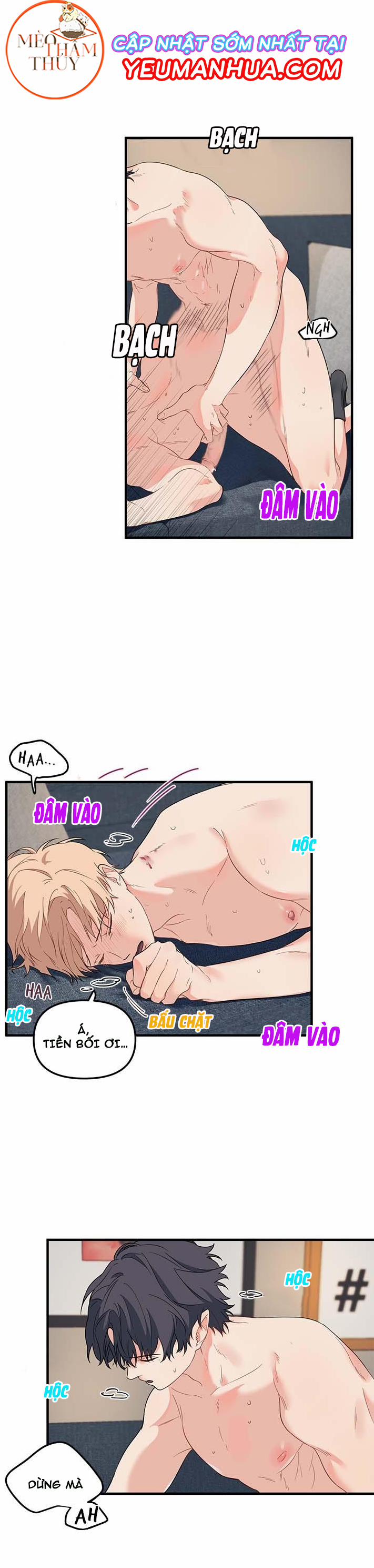 Máu Và Tình Yêu 13 trang 0