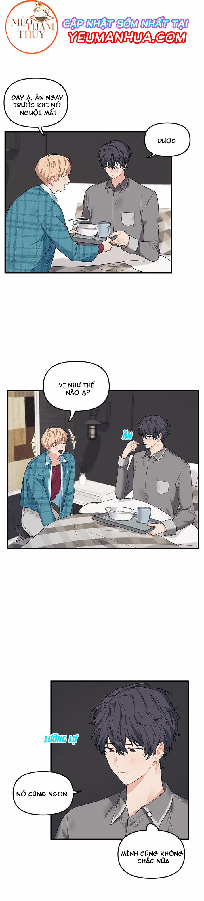 Máu Và Tình Yêu 15 trang 11