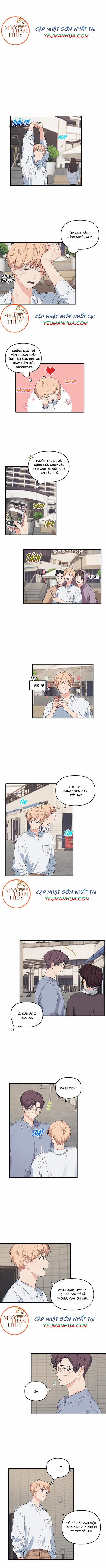 Máu Và Tình Yêu 18 trang 0