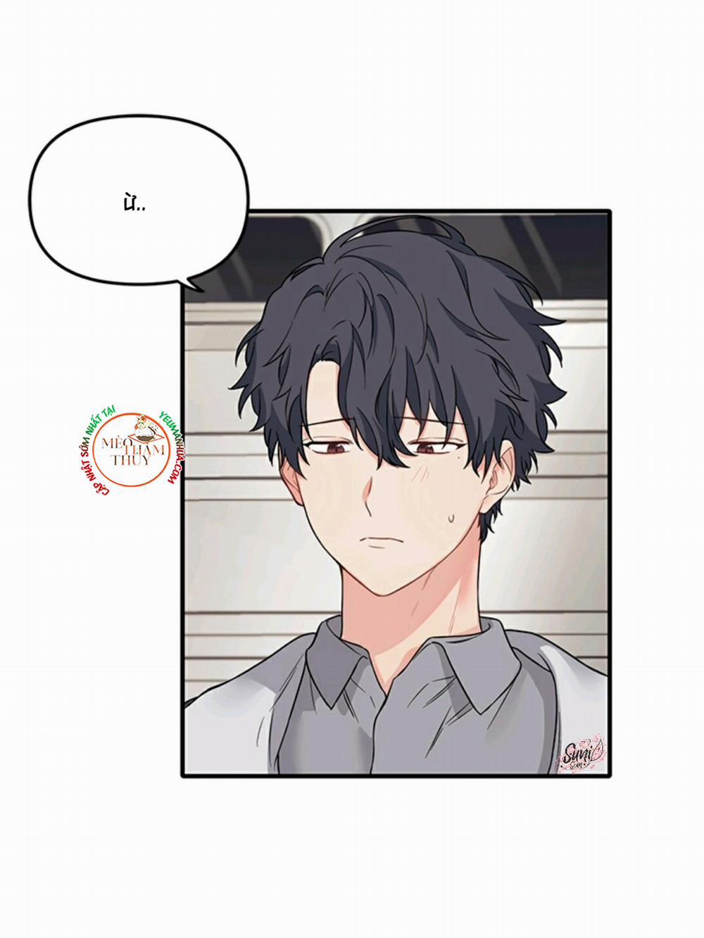 Máu Và Tình Yêu 19 trang 28