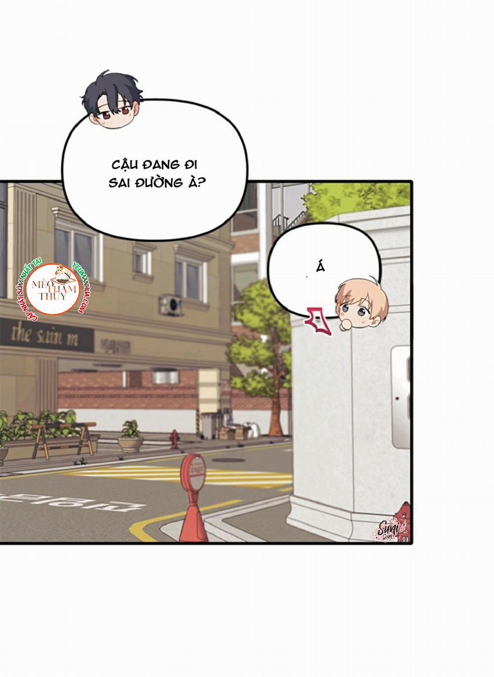 Máu Và Tình Yêu 19 trang 33