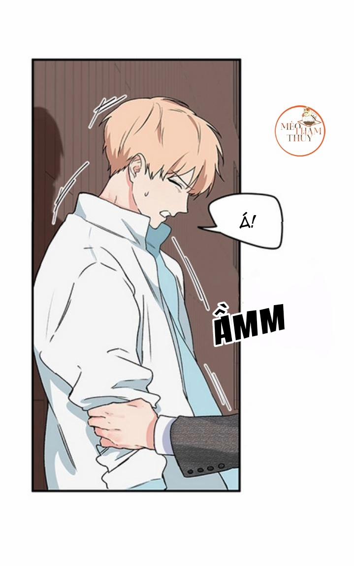 Máu Và Tình Yêu 2 trang 46