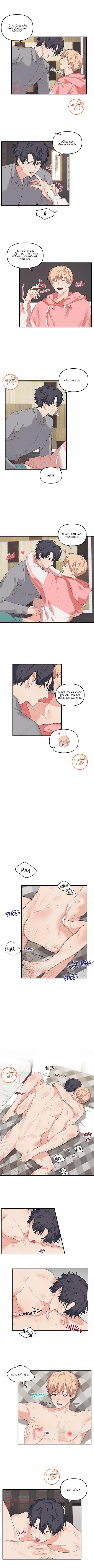 Máu Và Tình Yêu 20 trang 3