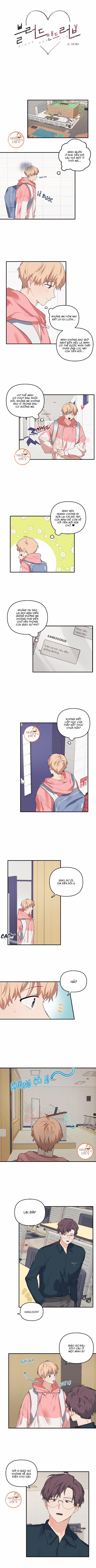 Máu Và Tình Yêu 21 trang 0