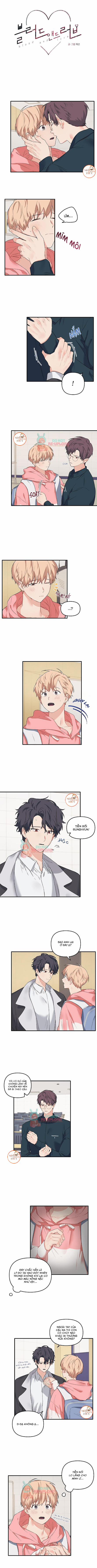 Máu Và Tình Yêu 22 trang 0